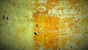 How to Remove Artillery Fungus from Car Paint | 7 Effective Methods